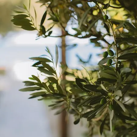 Hotel apartamentowy Elya Luxury