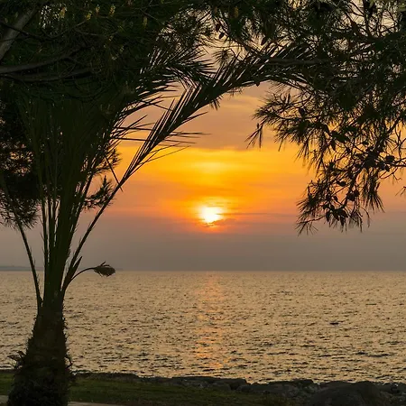 Elya Luxury 4* Agios Theodoros