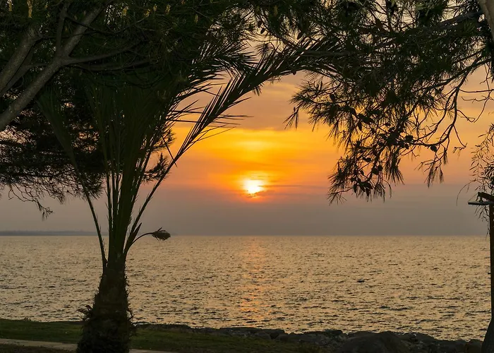 Elya Luxury 4* Agios Theodoros